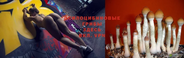 винт Балахна