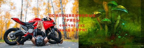винт Балахна
