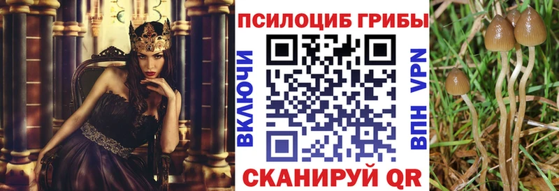 мега tor Нея Галлюциногенные грибы мухоморы магазин